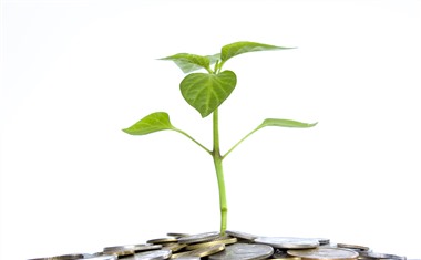 2025年有信用卡必下的网贷有哪些？整理五个有信用卡必下的网贷